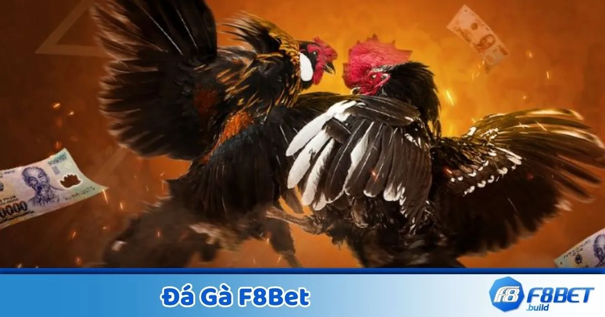 Đá Gà F8BET – Cá Cược Trực Tuyến, Xem Live 24/7 2 Phân tích đối thủ